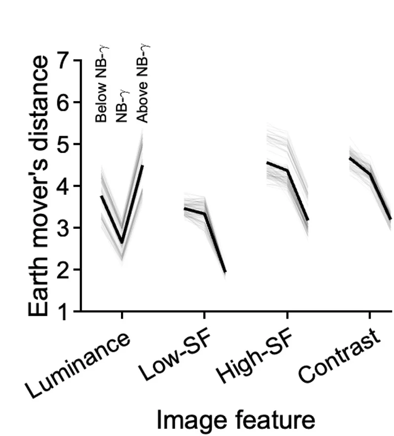 Open access visualization of Line Plot, Earth Mover's Distance, Image Features, LFP Power, tSNE Space