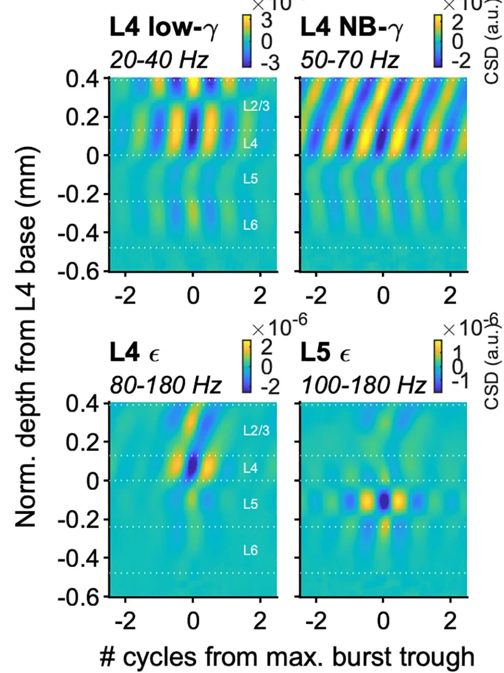 Open access visualization of Heatmap, Wideband CSD, Bursts