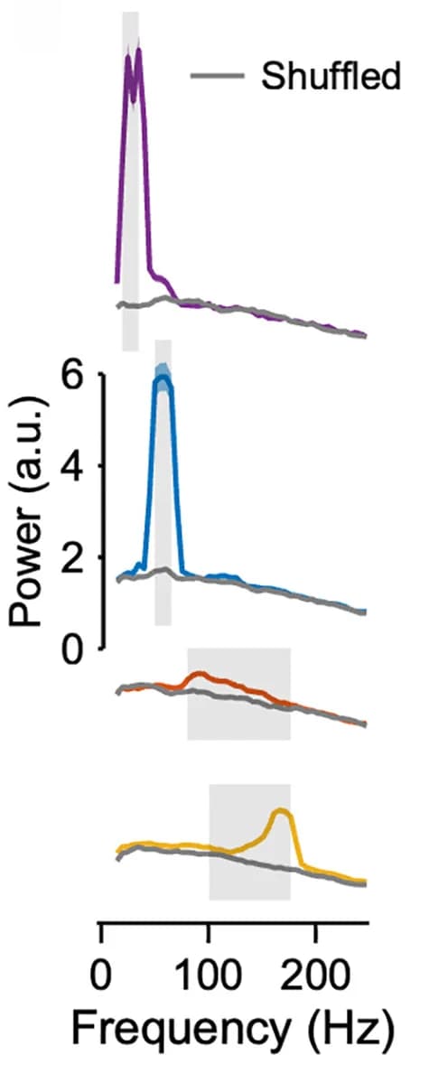 Open access visualization of Line Plot, Error Bars, Density Plot, Power Spectra, CCG