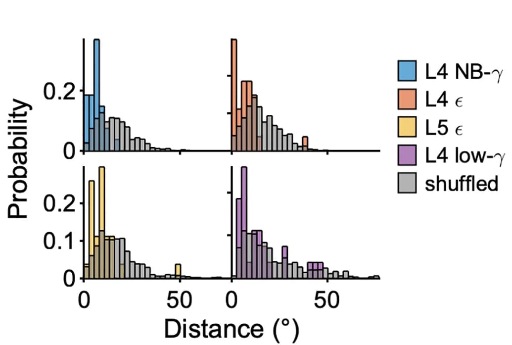 Open access visualization of Histogram, Stacked Bar Plot, Distributions, Burst-Triggered Feature Maps