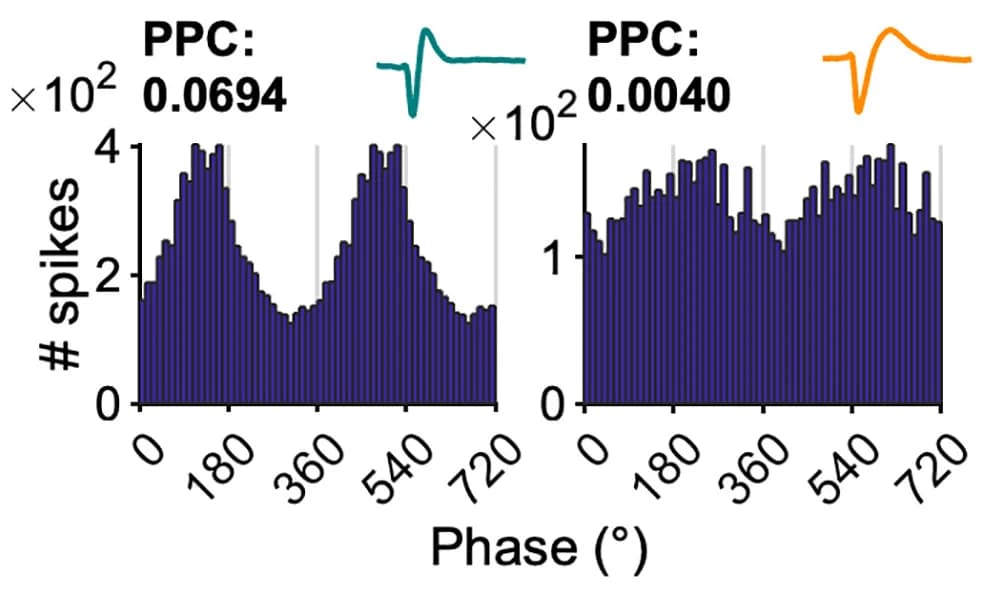 Open access visualization of Histogram, Line Plot, Phase Histograms, Spikes, NB-gamma Bursts