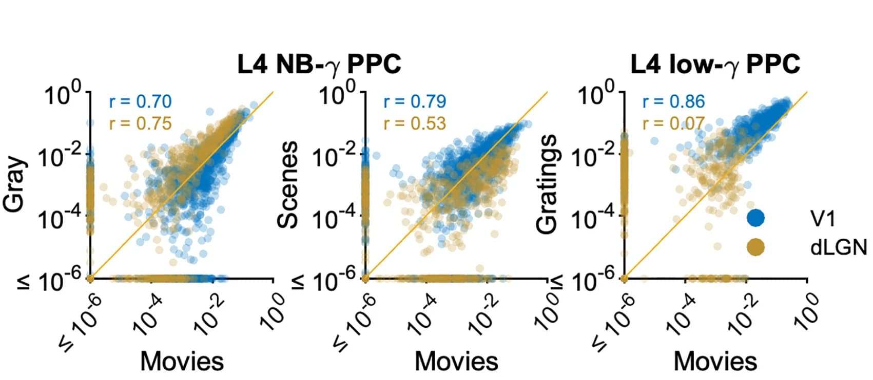 Open access visualization of Scatter Plot, Regression Plot, Phase-Coupling Strengths, Stimuli, L4 NB-gamma Bursts