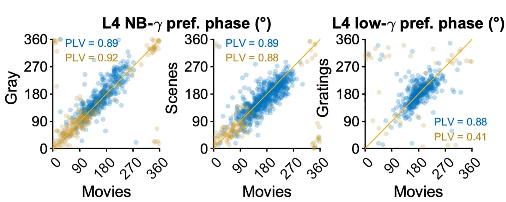 Open access visualization of Scatter Plot, Regression Plot, Preferred Phases, Stimuli, Burst Classes