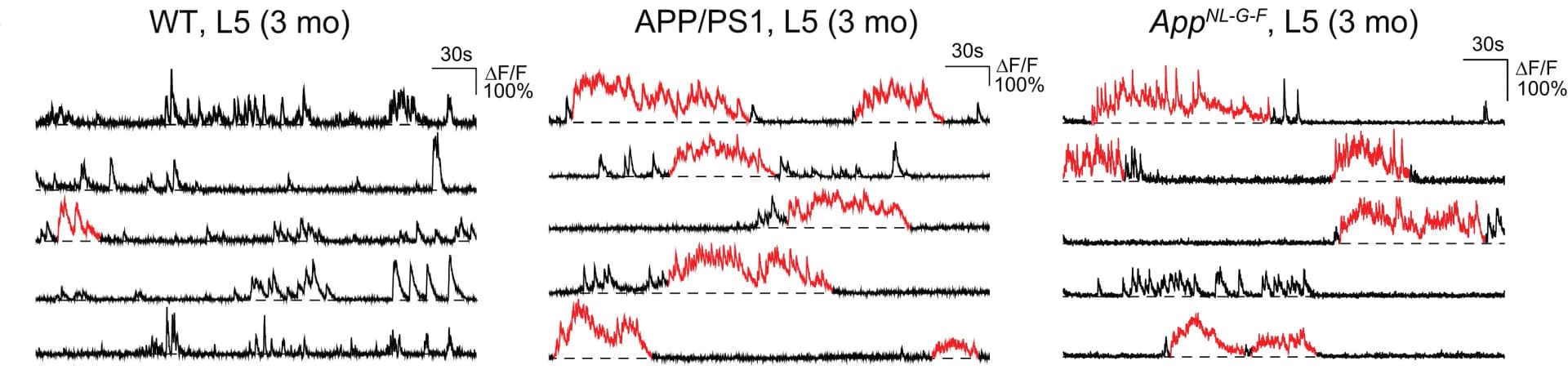 Open access visualization of Line Plot, Ca2+ Transients, V1 L5, WT Mice, APP/PS1 Mice