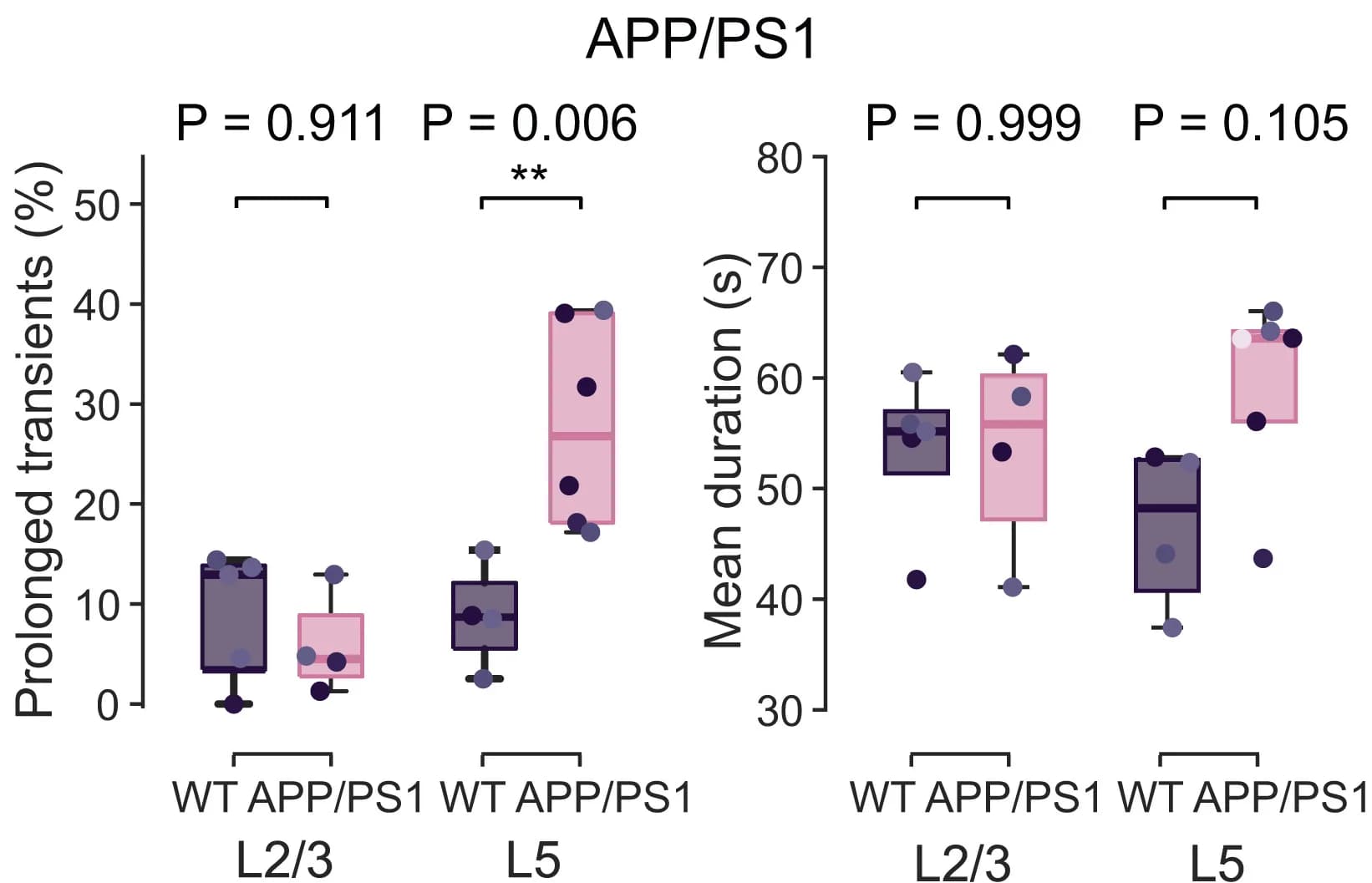 Open access visualization of Box Plot, Scatter Plot, Prolonged Transients, L2/3, L5