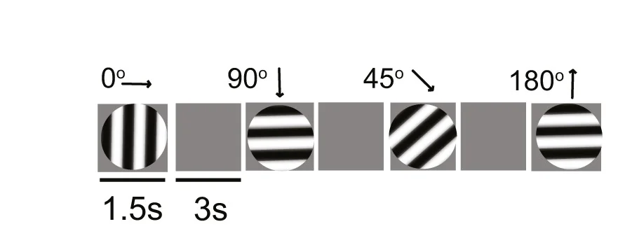 Open access visualization of Illustration, Full-Field Gratings, Visual Stimuli, Drifting Gratings, Gray Screen