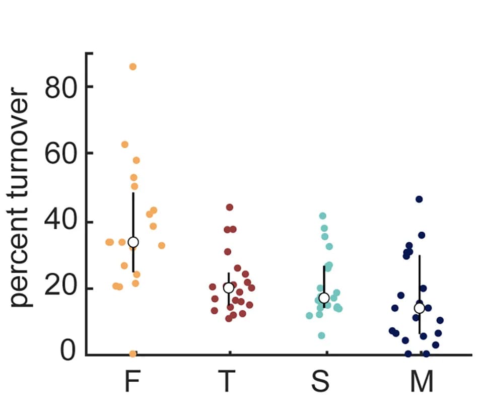 Open access visualization of Scatter Plot, Error Bars, Turnover, Spines, Spine Subtype