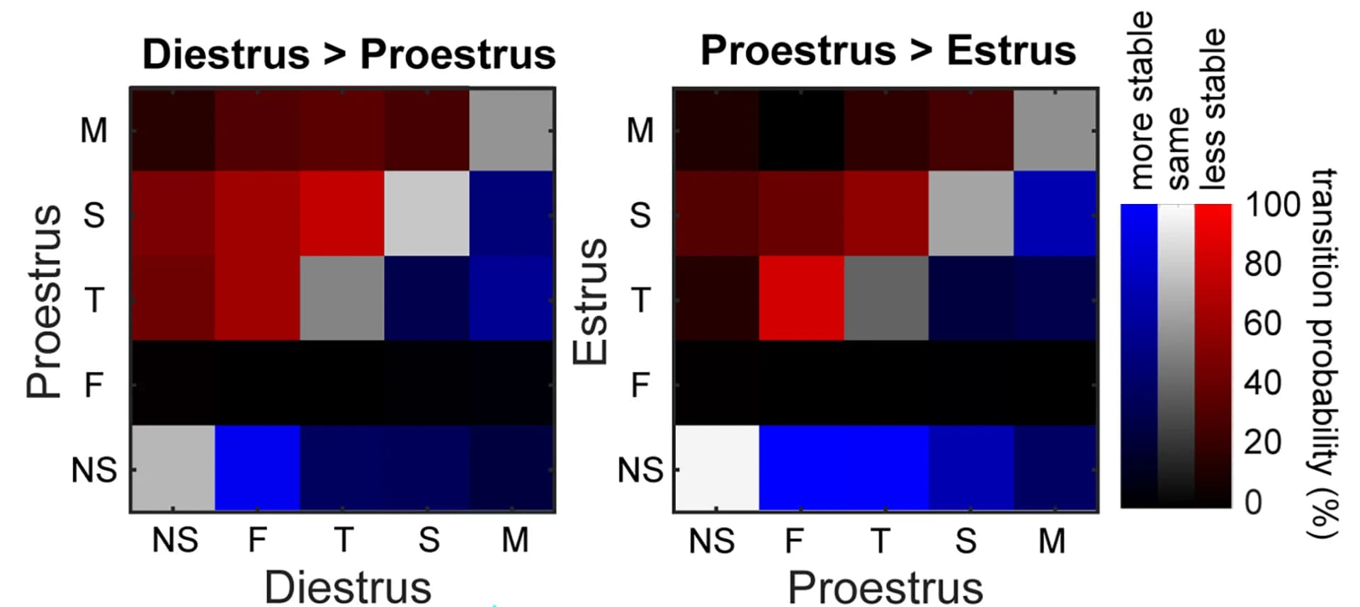 Open access visualization of Heatmap, Transition Matrix, Spine Subtypes, Diestrus, Proestrus