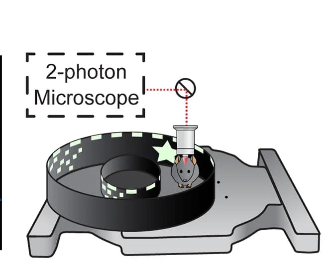 Open access visualization of Illustration, Carbon Fiber Floating Chamber, Imaging, Circular Track