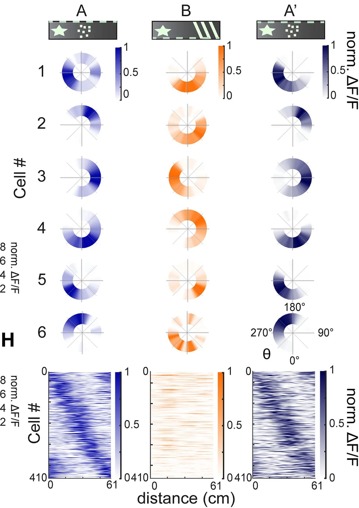 Open access visualization of Radar Chart, Heatmap, F/F, Angular Location, Place Fields