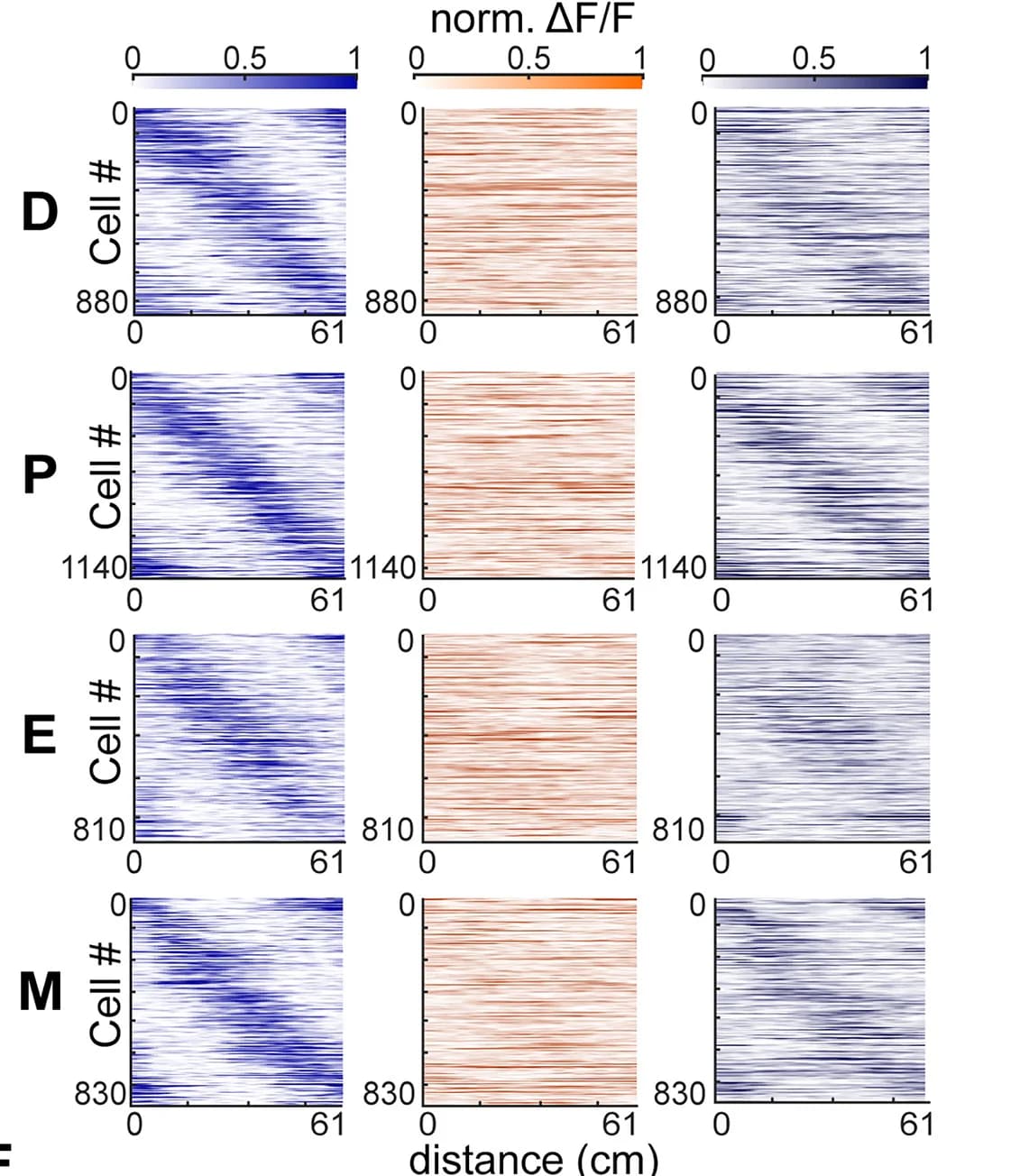 Open access visualization of Heatmap, Average Responses, Place Cells, Environment, Estrous Stage