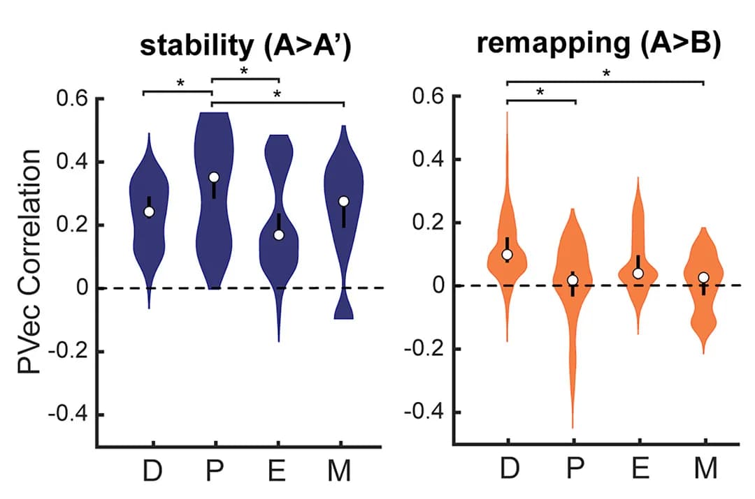 Open access visualization of Violin Plot, Error Bars, Violin Plots, PVec Correlation, Estrous Stages