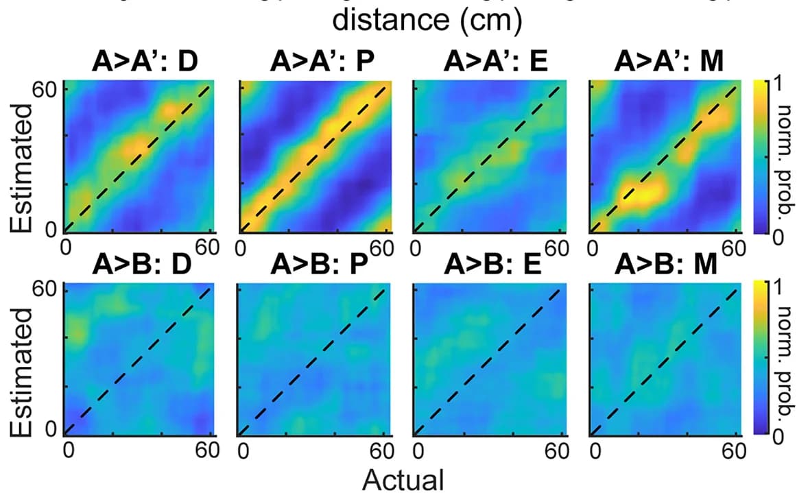 Open access visualization of Heatmap, Probability Density Plot, Decoder-Estimated Position, Actual Position, Environment