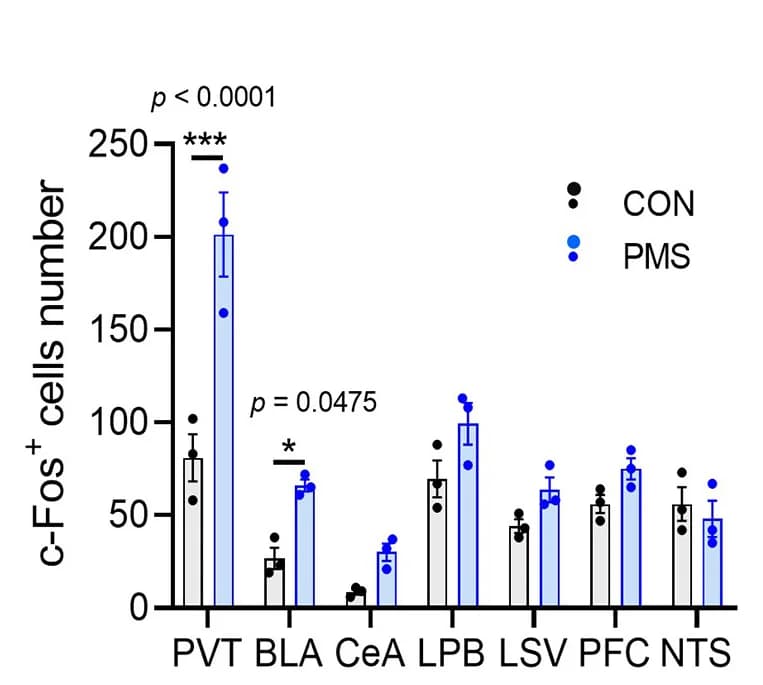 Open access visualization of Bar Plot, Error Bars, c-Fos+cells, Brain Regions, Mice