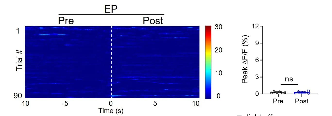 Open access visualization of Heatmap, Scatter Plot, Heatmaps, Calcium Activity, Bar Graphs