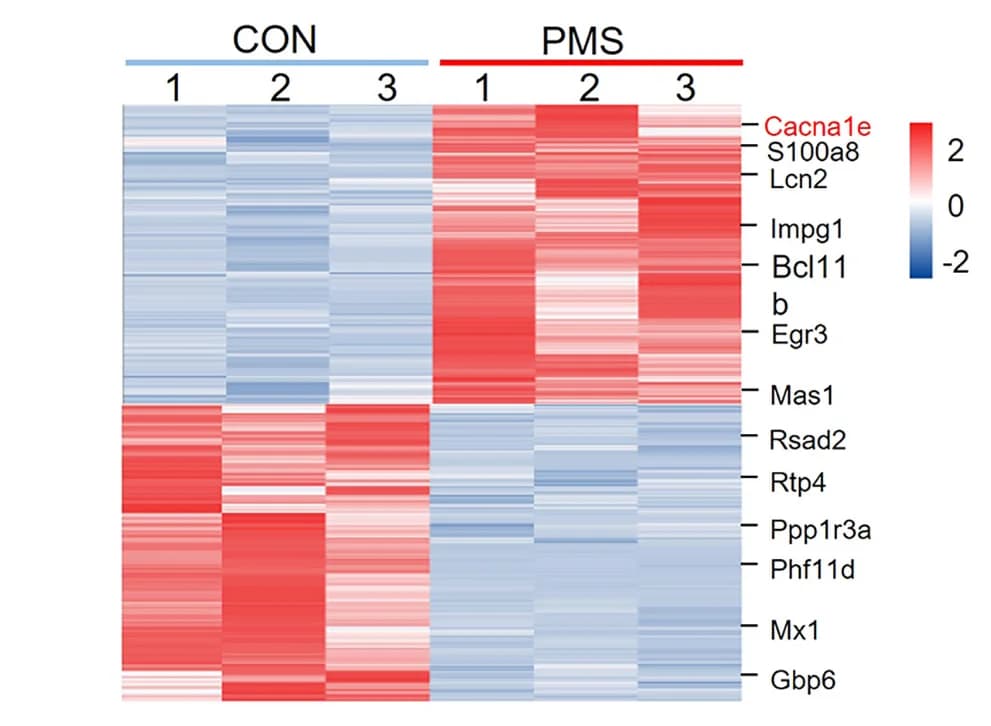 Open access visualization of Heatmap, DEGs, aPVT