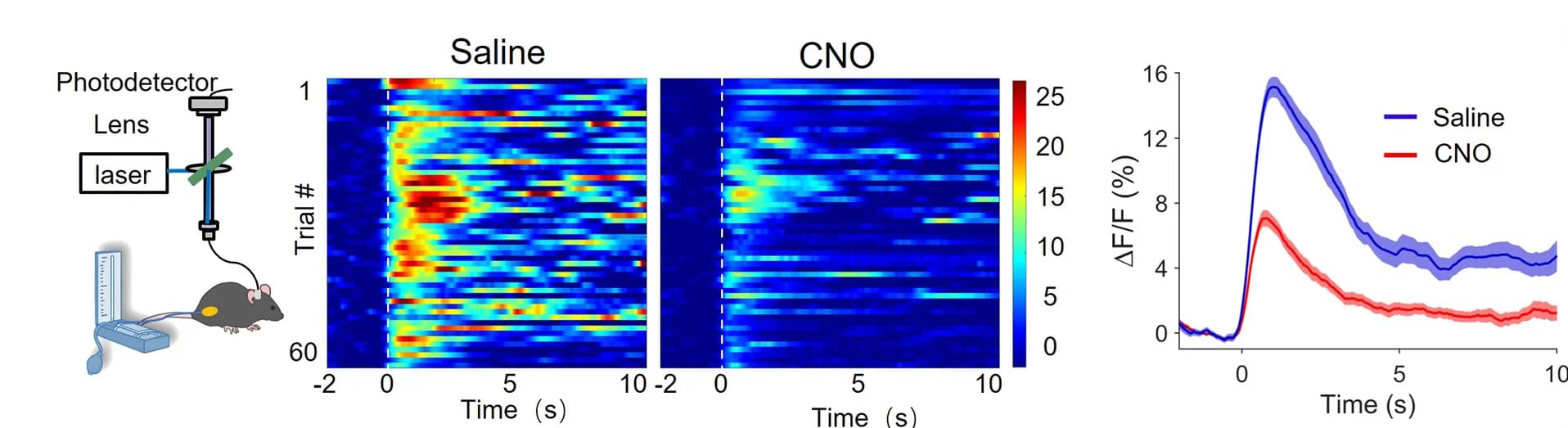 Open access visualization of Line Plot, Error Bars, Heatmap, Heatmaps, Curve Plots