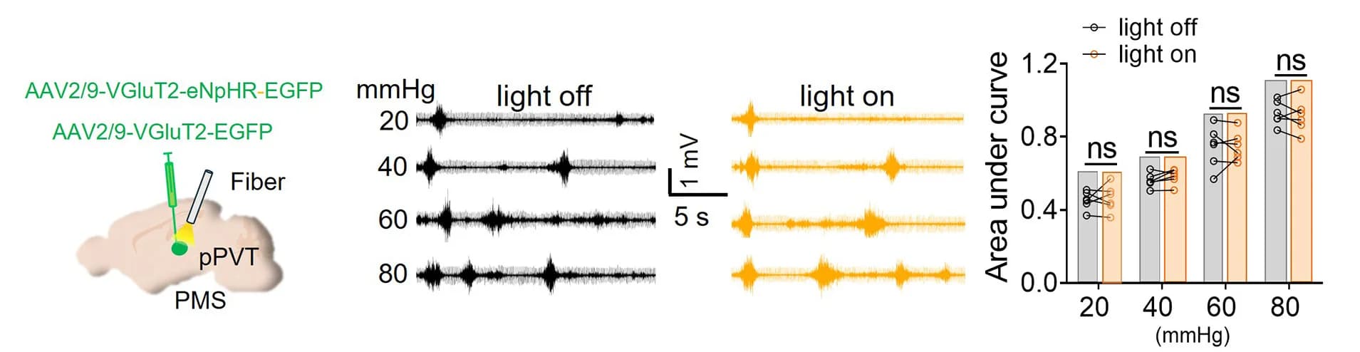Open access visualization of Bar Plot, Line Plot, Error Bars, Optogenetic Inhibition, pPVTGludo