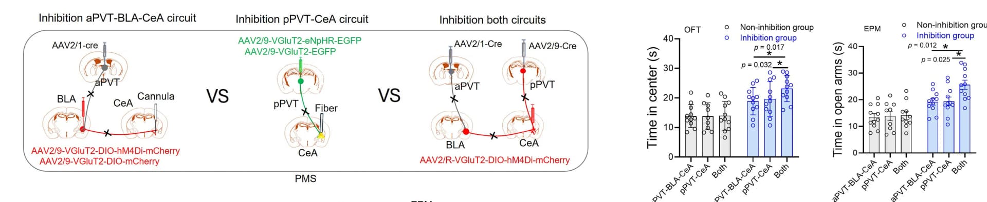 Open access visualization of Bar Plot, Scatter Plot, Error Bars, aPVT-BLA-CeA Circuit, pPVT-CeA Circuit
