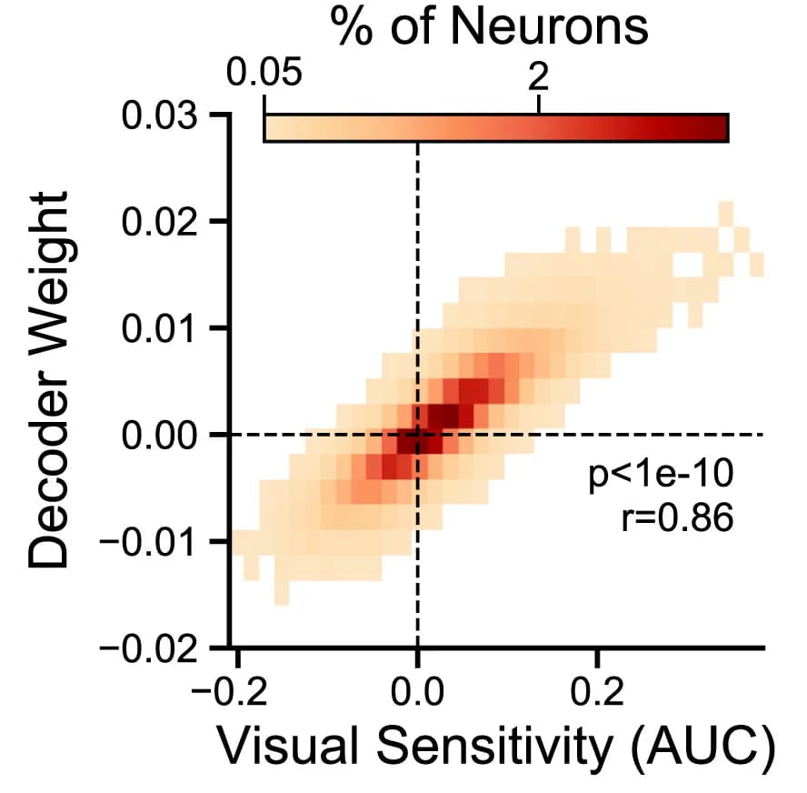 Open access visualization of Heatmap, Decoder Weight, Visual Sensitivity, Neurons, 2D Histogram