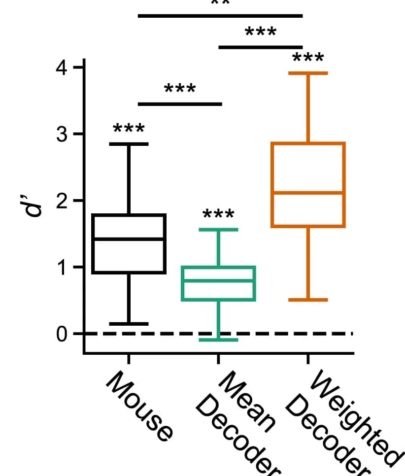 Open access visualization of Box Plot, Cross-Validated Models, Test Contrasts, Quartiles, Median