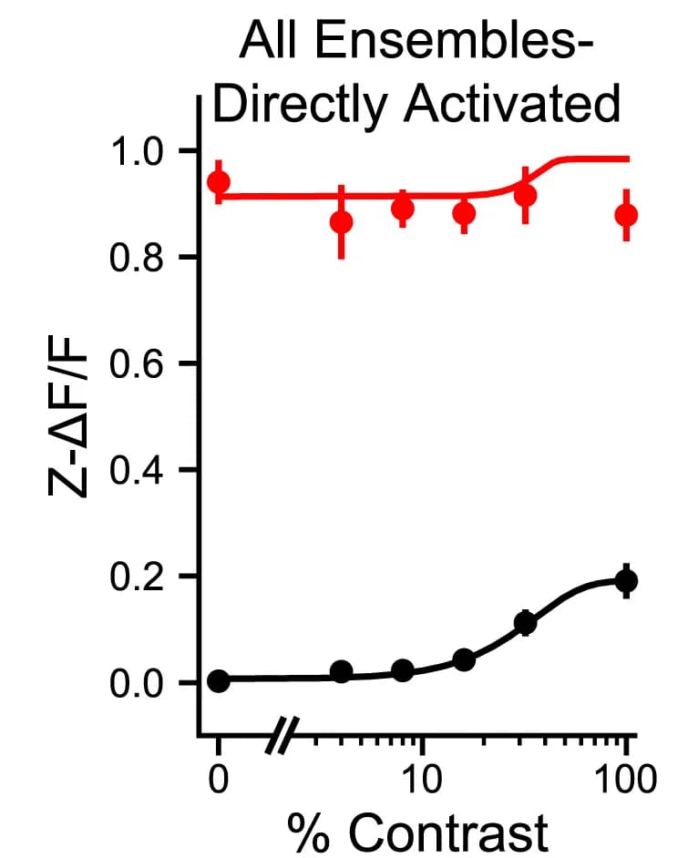 Open access visualization of Line Plot, Error Bars, Ensembles, Directly Activated Neurons, Visual Stimulus