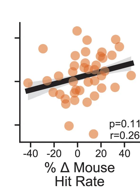 Open access visualization of Scatter Plot, Regression Plot, Logistic Regression, Decoder, Weighted Regression