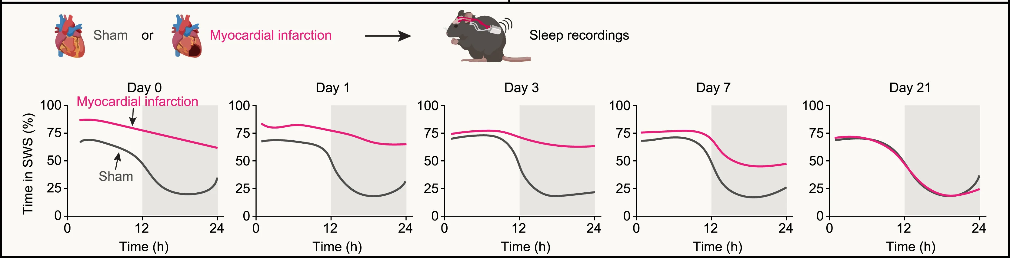 Open access visualization of Line Plot, NREM Sleep, Myocardial Infarction, Sickness