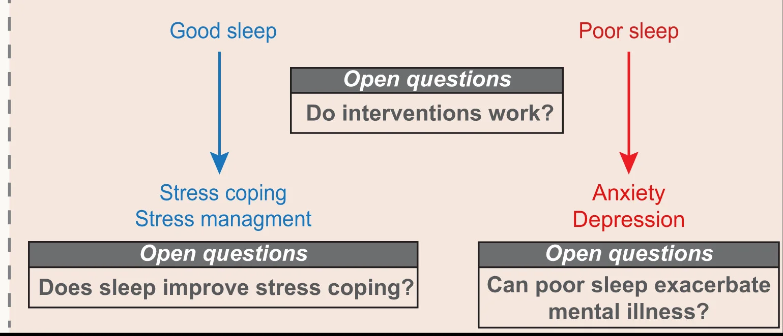Open access visualization of Workflow, Flowchart, Stress Resilience, Sleep Quality, Sleep Intervention