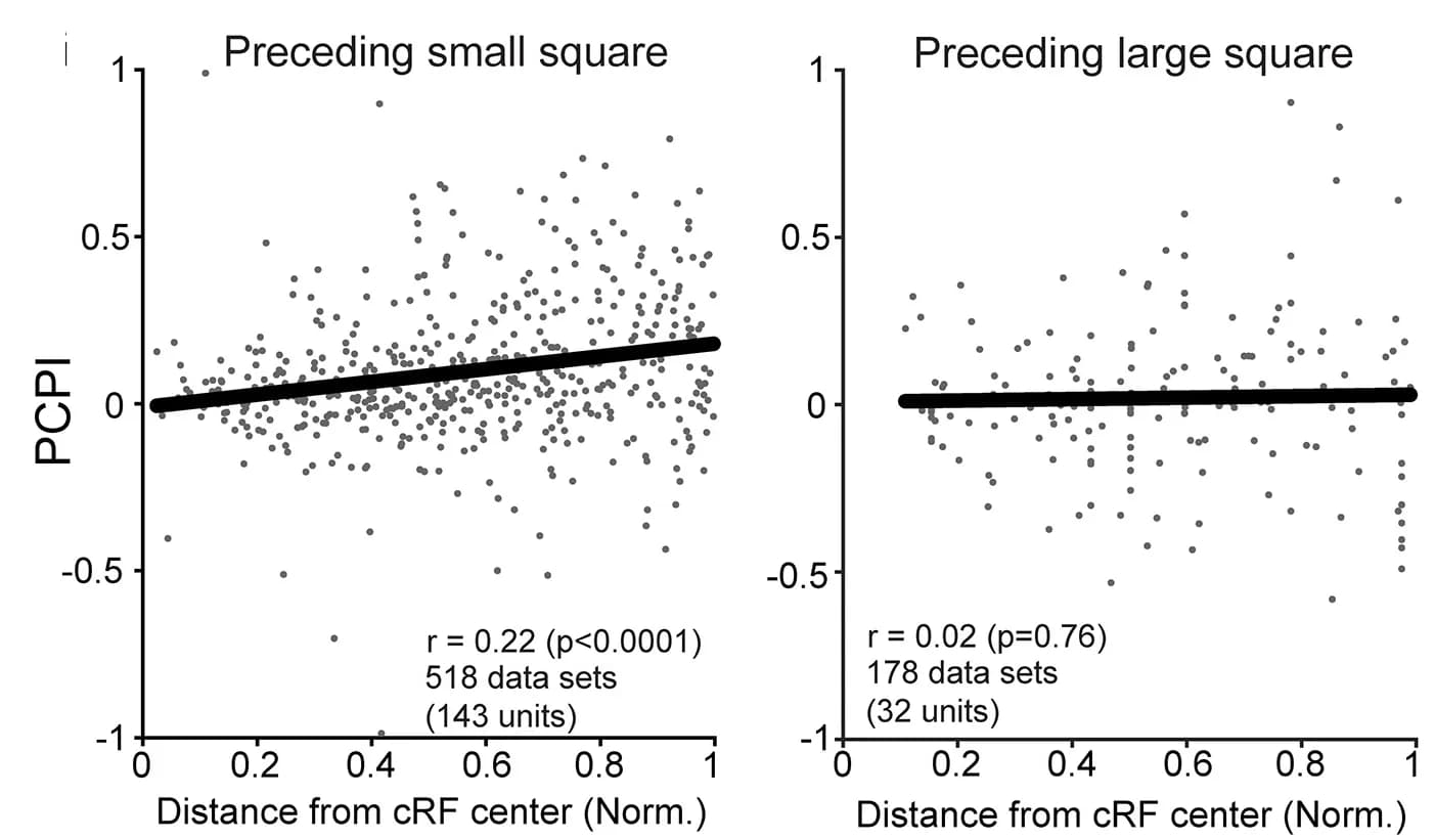 Open access visualization of Scatter Plot, Regression Plot, PCPI, Border Positions, Ambiguous Borders