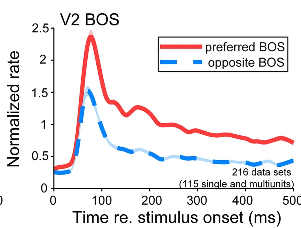 Open access visualization of Line Plot, BOS, V2, Animal D