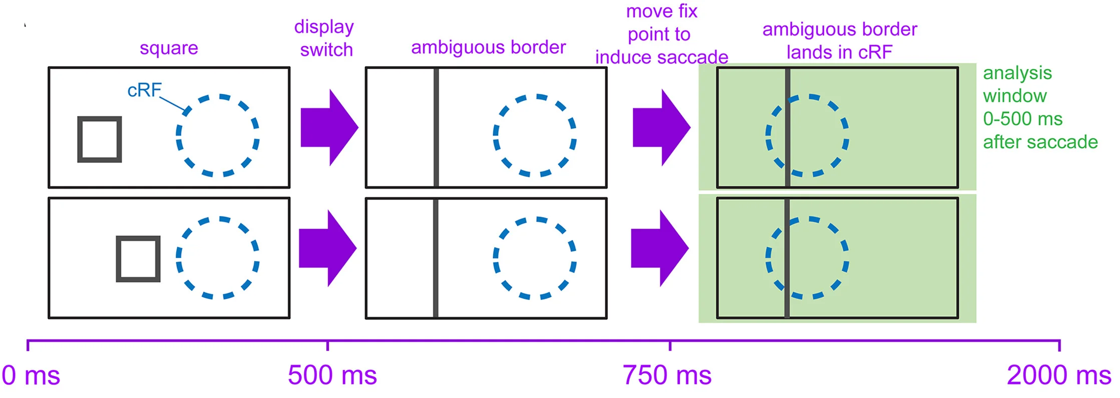 Open access visualization of Workflow, Flowchart, Illustration, Saccade Trials, Luminance