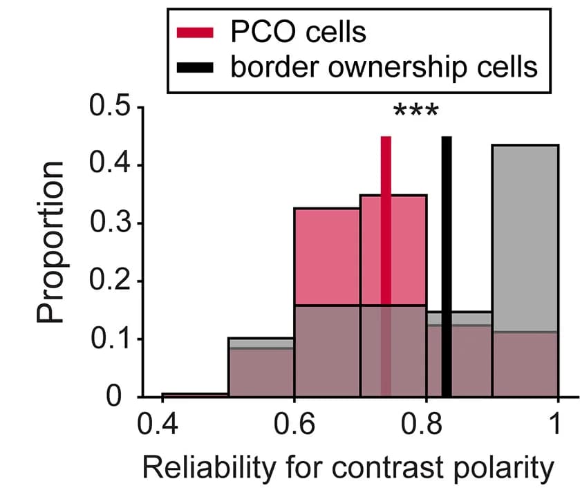 Open access visualization of Histogram, Error Bars, Stacked Bar Plot, Luminance Contrast Polarity, Side-of-Figure