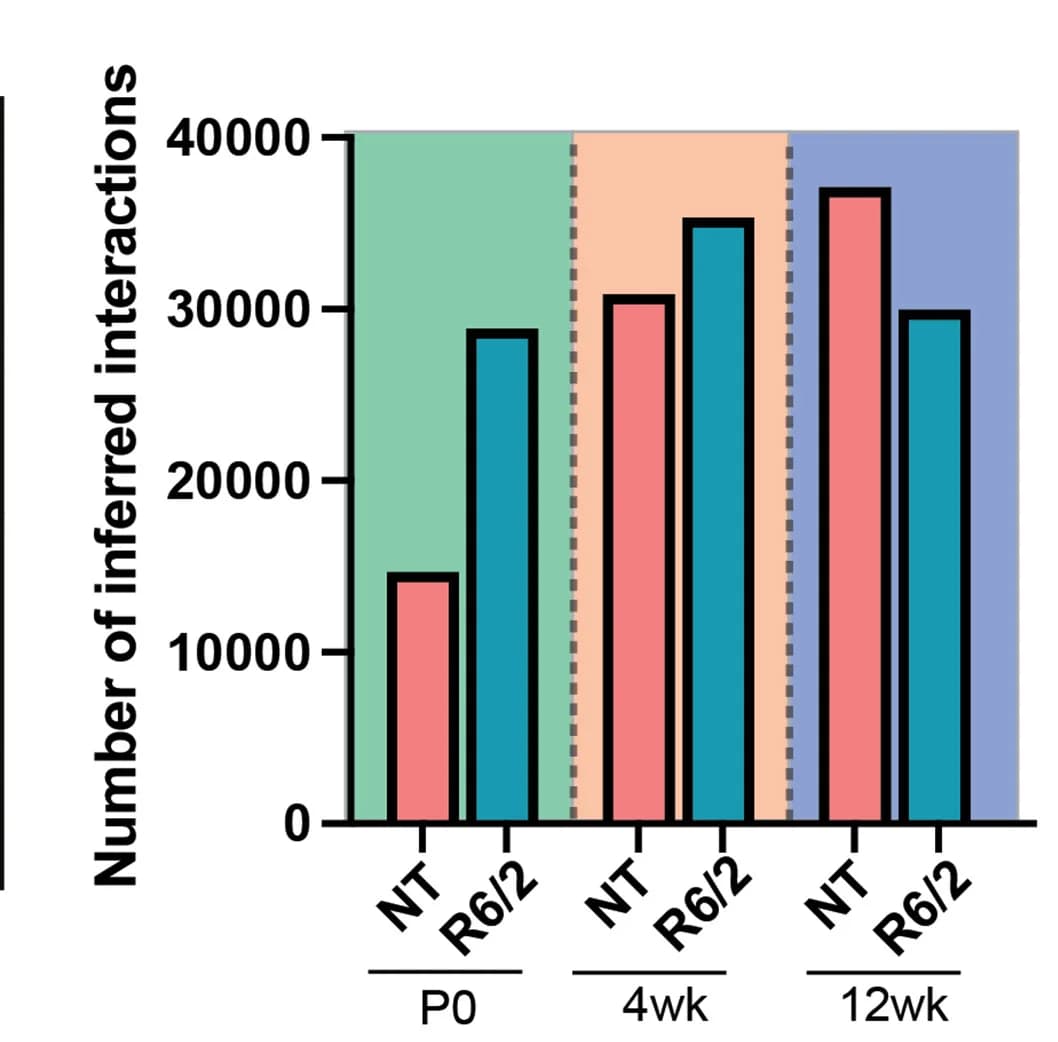 Open access visualization of Bar Plot, Clustered, Cell-Cell Communication, Interactions, NT