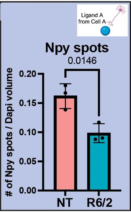 Open access visualization of Bar Plot, Error Bars, Immunofluorescence, Intensity, DAPI