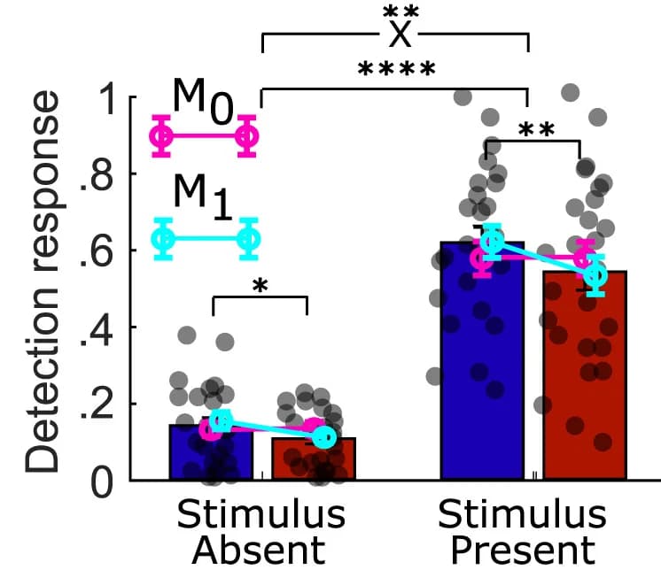 Open access visualization of Bar Plot, Error Bars, Scatter Plot, Line Plot, Stimulus