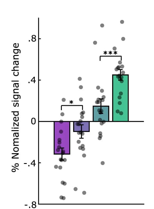Open access visualization of Bar Plot, Error Bars, Scatter Plot, Response Type, Brain Activity