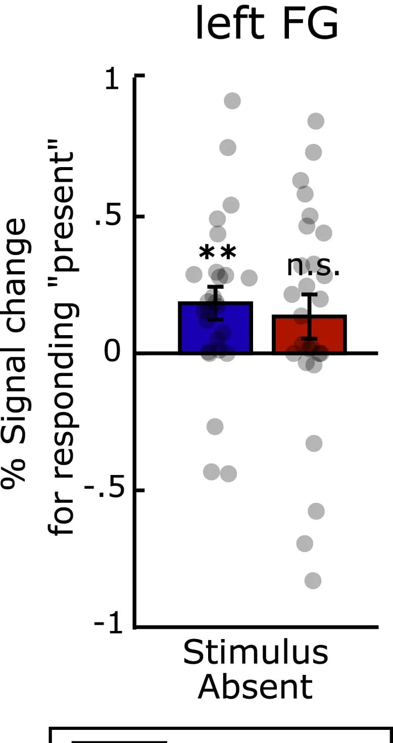 Open access visualization of Bar Plot, Error Bars, Scatter Plot, Neural Activity, Reality Monitoring