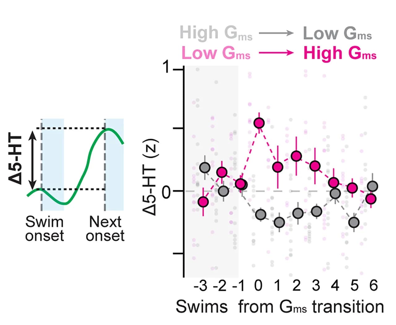 Open access visualization of Line Plot, Scatter Plot, Error Bars, 5-HT Release, LAE Model