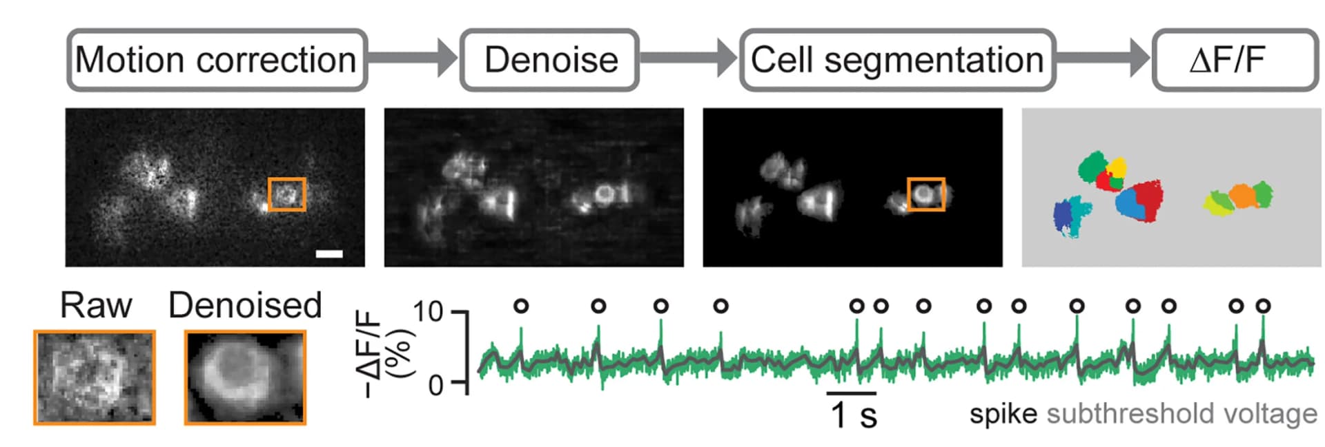 Open access visualization of Workflow, Microscopy, Line Plot, Illustration, Pre-processing Pipeline