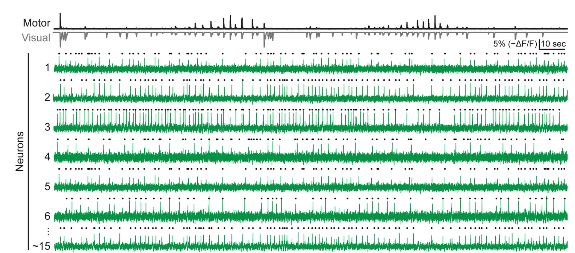Open access visualization of Line Plot, Line Step, Voltage Imaging, Serotonergic Neurons, Motor Vigor Learning