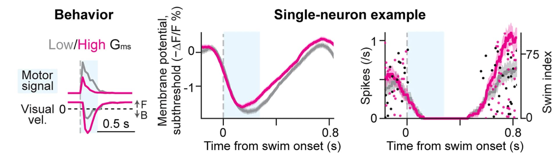 Open access visualization of Line Plot, Error Bars, Scatter Plot, Neural Activity, Serotonergic Neuron
