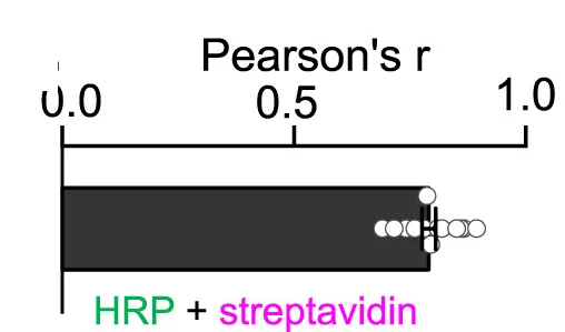 Open access visualization of Bar Plot, Error Bars, HRP, Streptavidin Labeled Proteins, Cortical Neurons