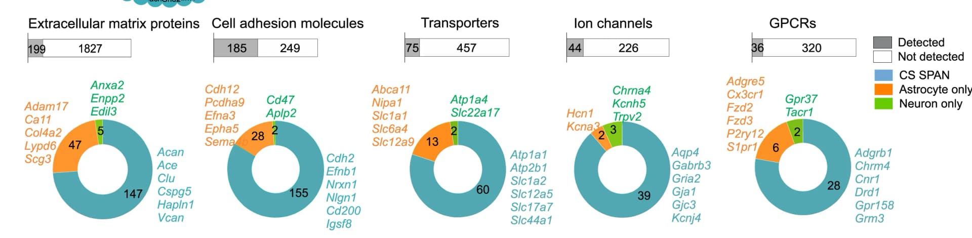 Open access visualization of Bar Plot, Pie Chart, Astro HRP, Neuro HRP, Protein Classes