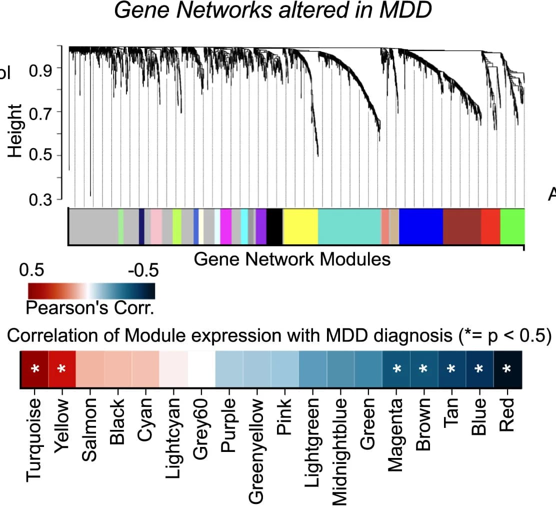 Open access visualization of Network, Heatmap, Bar Plot, Co-expressed Gene Networks, RNA-seq