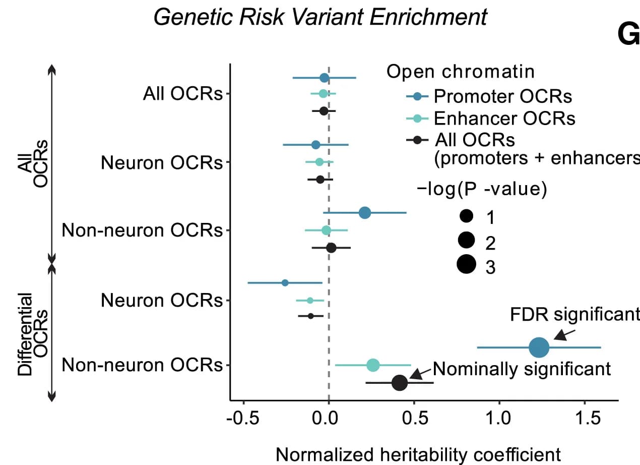 Open access visualization of Scatter Plot, Error Bars, Forest Plot, MDD, Genetic Variants