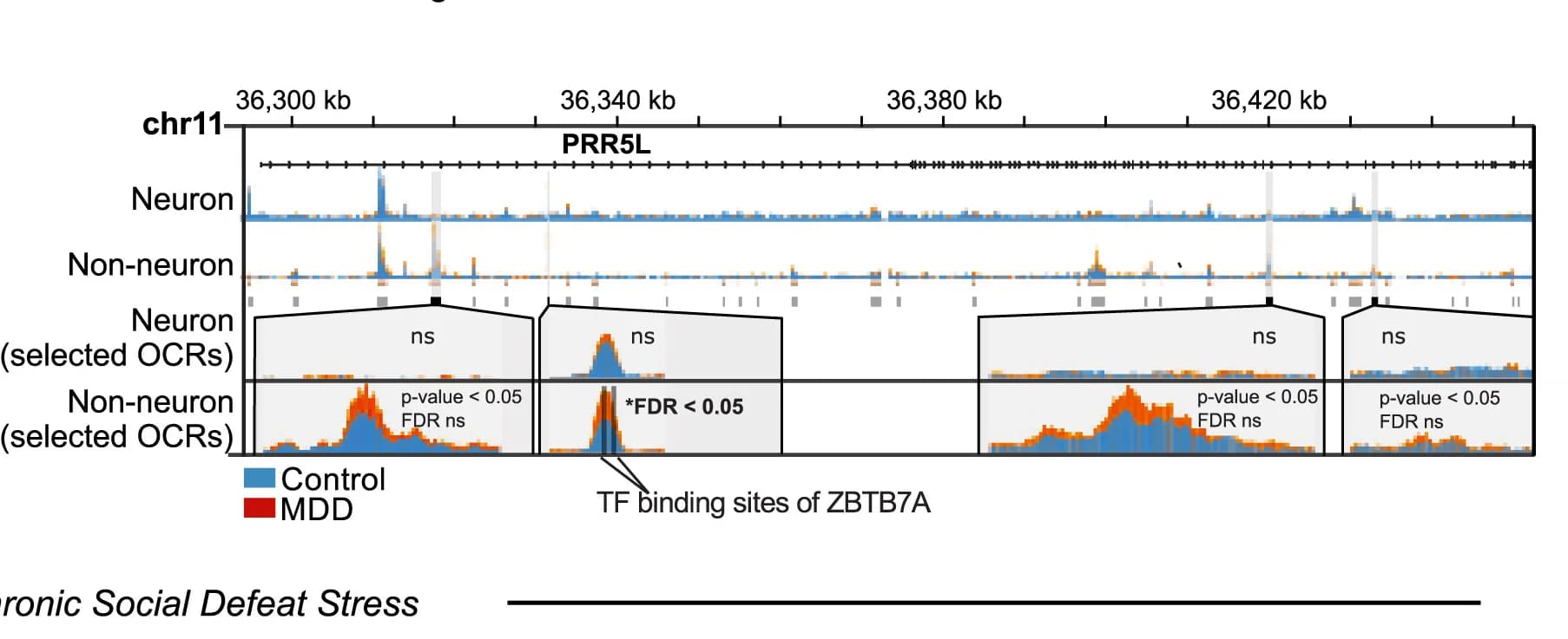 Open access visualization of Line Plot, Density Plot, ATAC-seq Signal, PRR5L Locus, OCRs