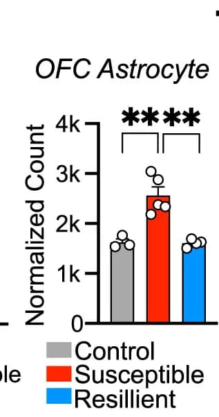 Open access visualization of Bar Plot, Error Bars, FPKM Values, Zbtb7a mRNA, CSDS