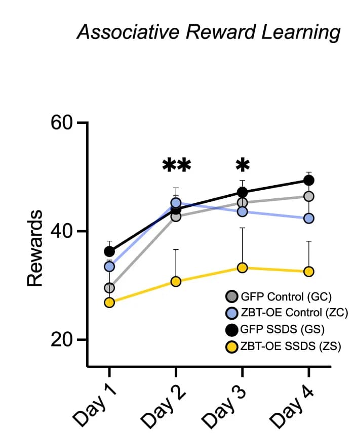 Open access visualization of Line Plot, Error Bars, Cue-Reward Association Task, Three-Way ANOVA, Virus