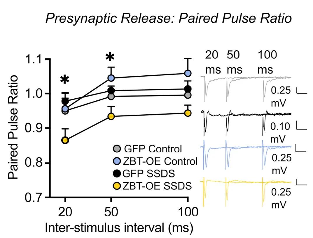 Open access visualization of Line Plot, Error Bars, fEPSP, Paired-Pulse Ratio, Three-way ANOVA